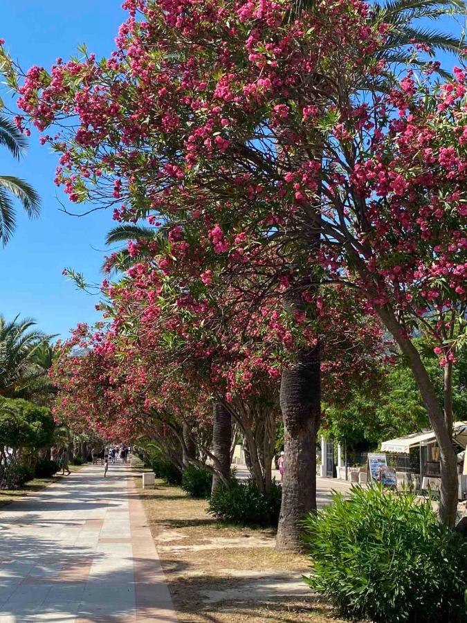 Villa Roan Bar Dış mekan fotoğraf